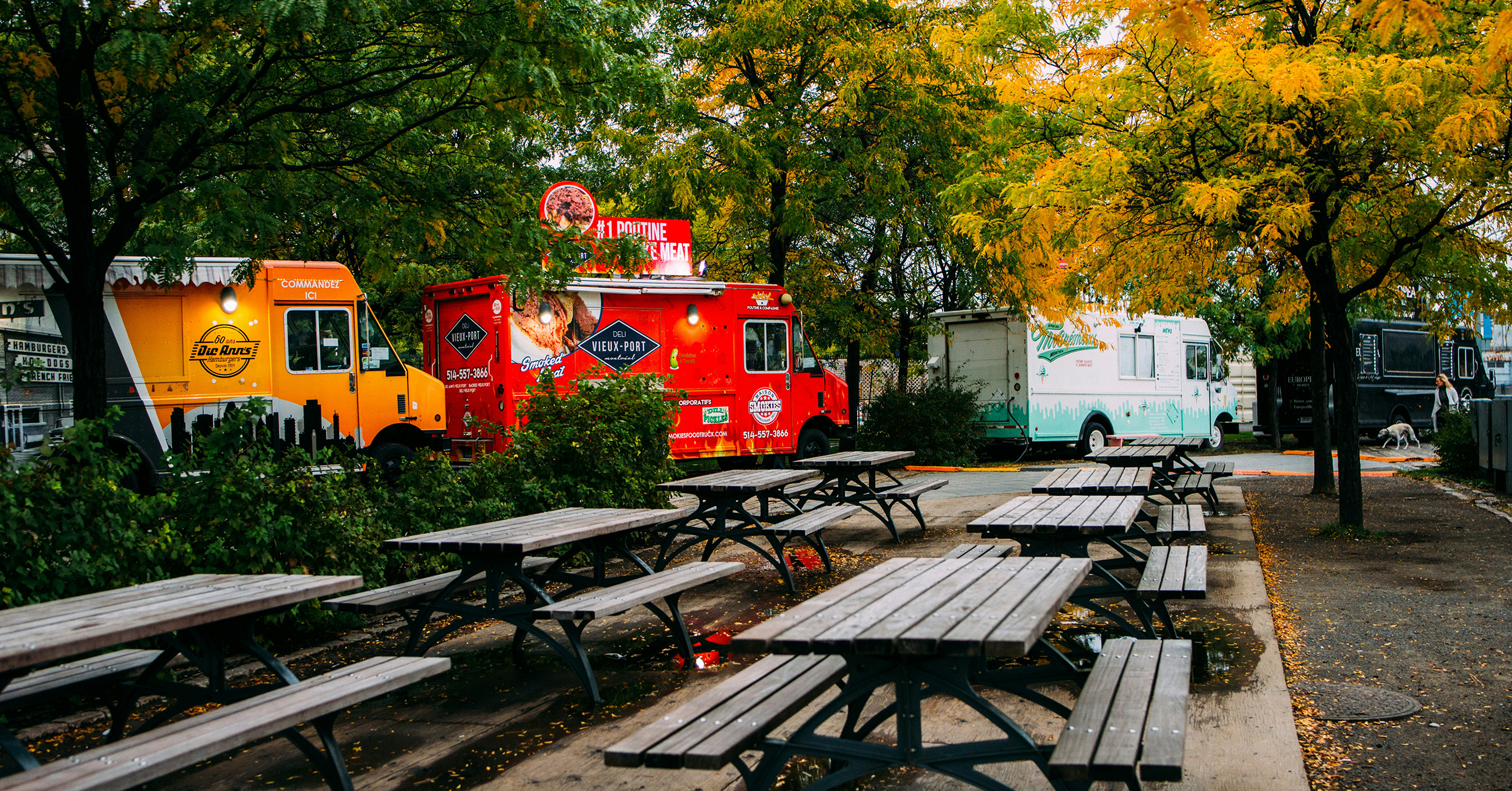 How to Buy and Run a Food Truck: What You Should Know - food trucks alt1 - Eleven36 Blog