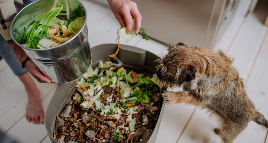 Ultimate Guide to Proper Fruit and Vegetable Storage for Restaurants - getty images FR FK2a7sbQ unsplash - Eleven36 Blog