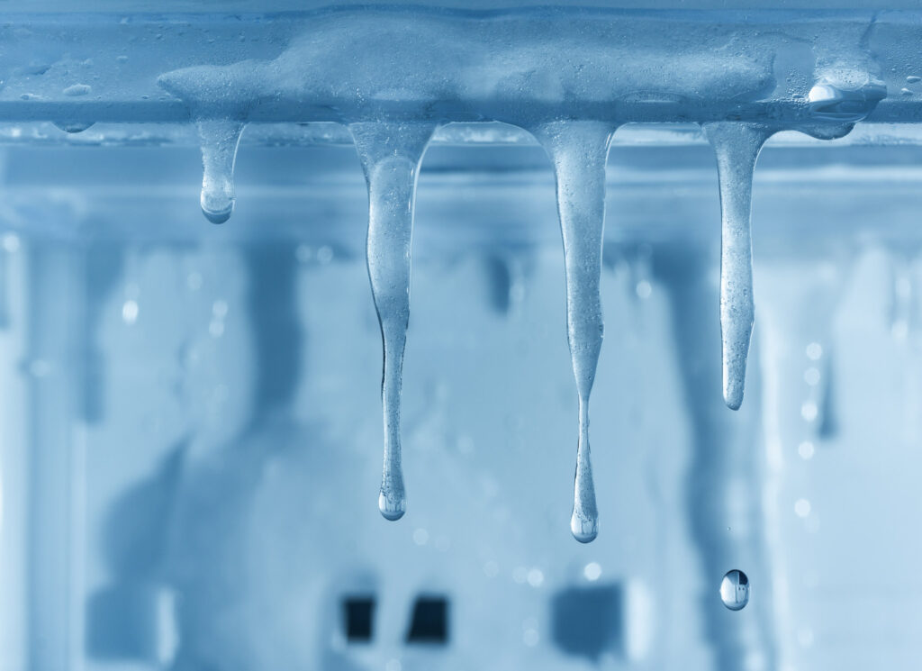 A Winter’s Tale: Commercial Freezer Buyer's Guide - freezer 3 - Eleven36 Blog