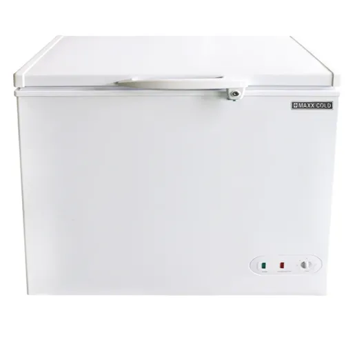 A Winter’s Tale: Commercial Freezer Buyer's Guide - freezer 3 - Eleven36 Blog